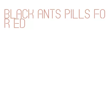 black ants pills for ed
