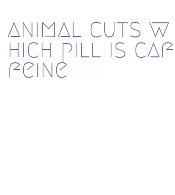 animal cuts which pill is caffeine