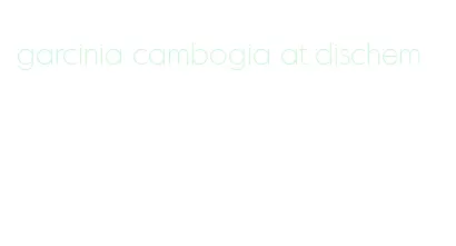 garcinia cambogia at dischem
