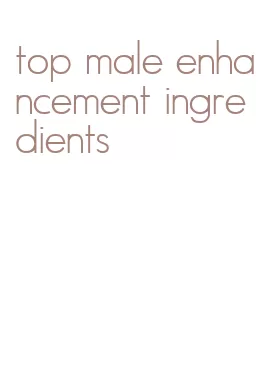 top male enhancement ingredients