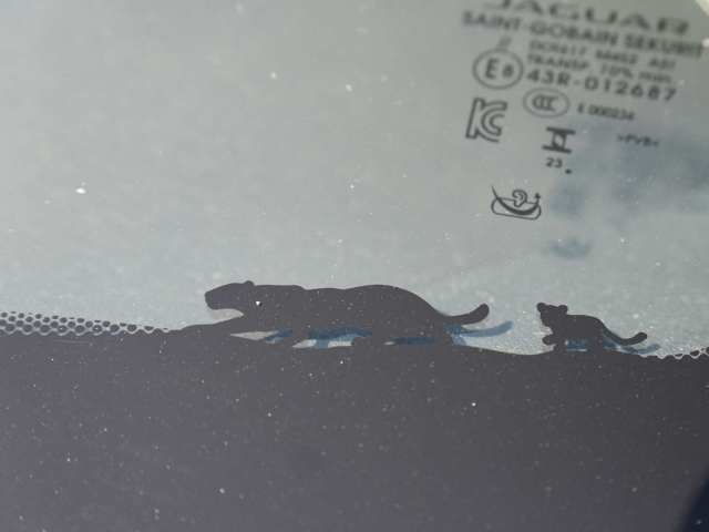 Bild 18 - D165 R-Dynamic S AWD 1. Hand UPE 60460