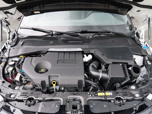 Bild 14 - D165 R-Dynamic SE Mild-Hybrid EU6d Park-Assistent