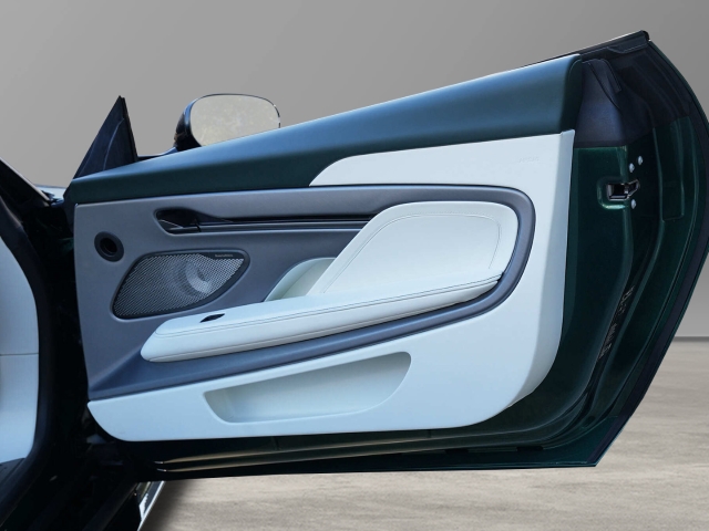 Bild 40 -  Volante Bowers & Wilkins Malachite / Glacier White