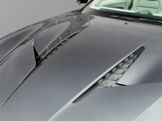 Bild 22 -  Volante Epsilon Black / Sage Green