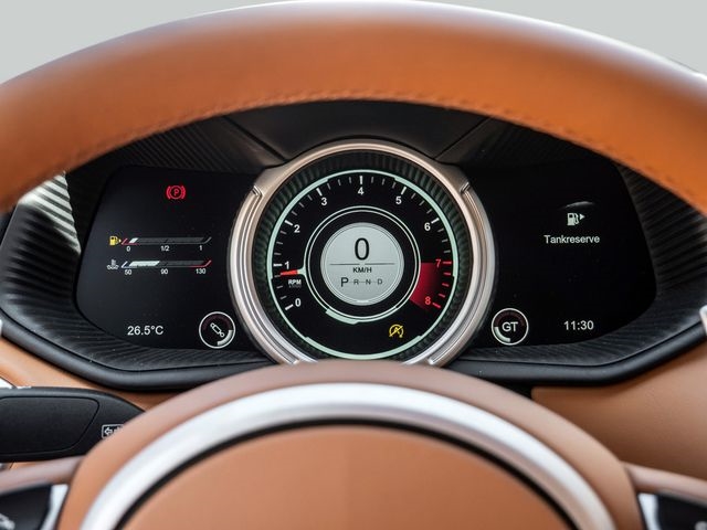 Bild 6 -  Coupe V8 Silver Birch Provenance