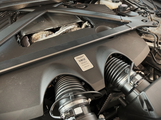 Bild 28 -  Minotaur Green Oxford Tan Bowers & Wilkins