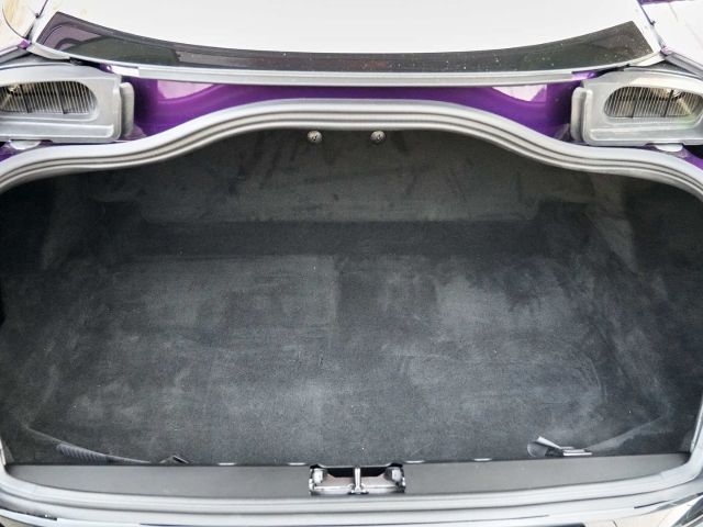 Bild 14 -  Storm Purple / Pale Blue