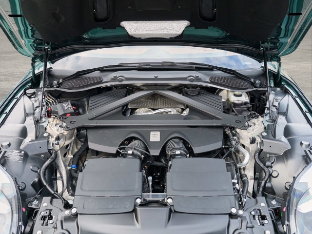 Bild 16 -  Malachite Green Oxford Tan