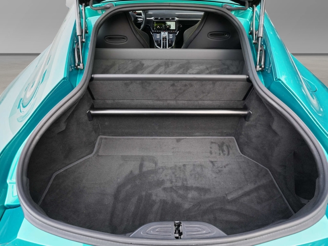 Bild 30 - Podium Green / Onyx Black V8