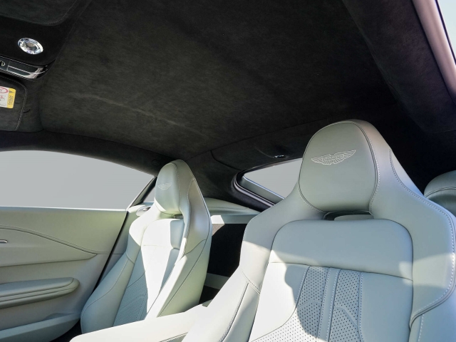 Bild 21 -  Aluminite Silver / Sage Green