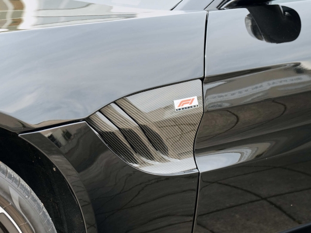 Bild 11 -  F1 Jet Black / Phantom Grey Carbondach