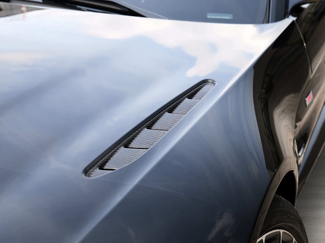 Bild 15 -  F1 Jet Black / Phantom Grey Carbondach