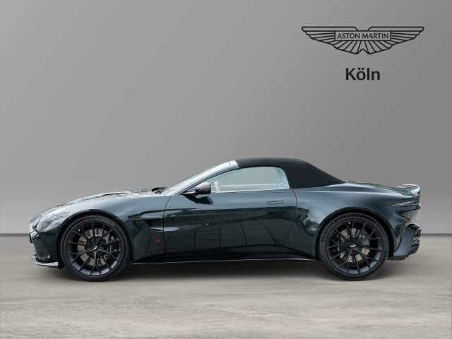 Bild 16 - S Roadster Ghilles Green/ Copper Tan Metallic