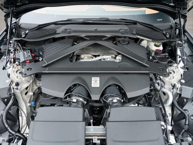 Bild 25 - S Roadster Ghilles Green/ Copper Tan Metallic