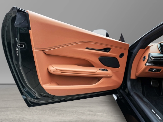 Bild 26 - S Roadster Ghilles Green/ Copper Tan Metallic