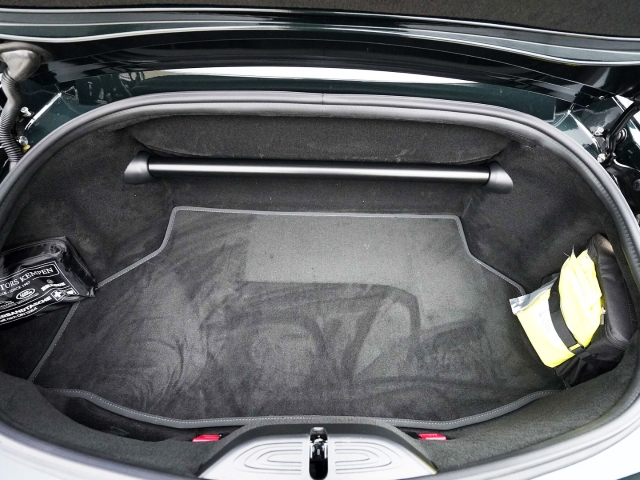 Bild 40 - S Roadster Ghilles Green/ Copper Tan Metallic