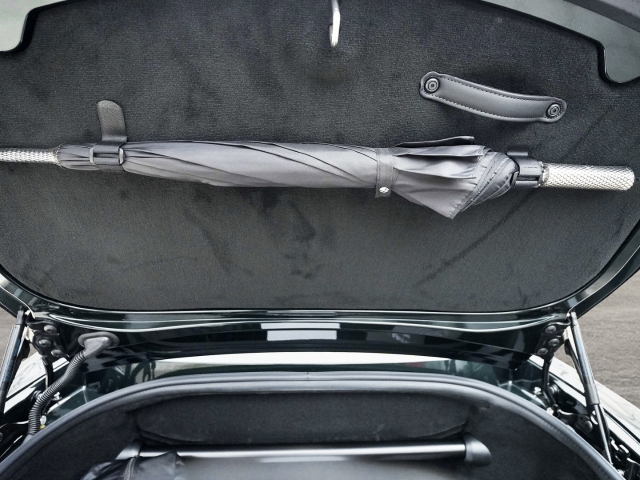 Bild 41 - S Roadster Ghilles Green/ Copper Tan Metallic