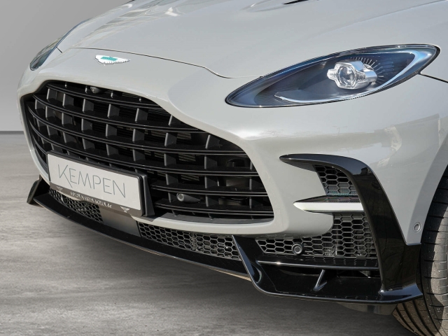 Bild 10 -  S China Grey Onyx Black