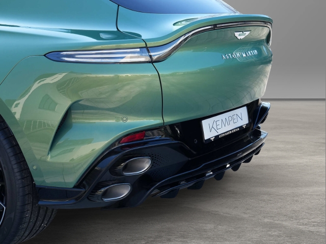 Bild 14 -  S Iridescent Emerald / Oxford Tan Bowers WIlkins