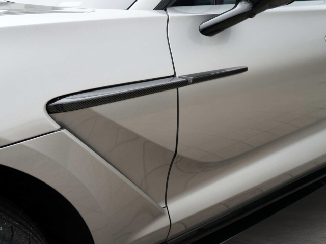 Bild 13 -  707 Aluminite Silver / Onyx Black