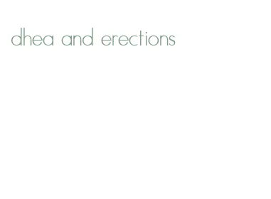 dhea and erections