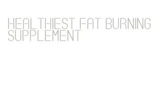 healthiest fat burning supplement