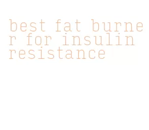 best fat burner for insulin resistance