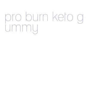 pro burn keto gummy